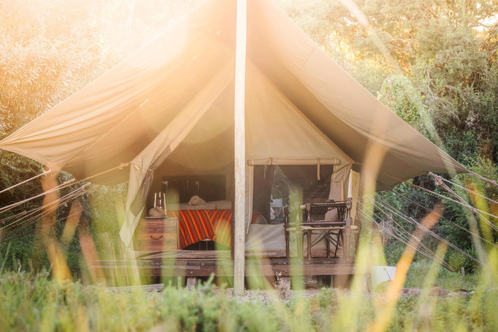 Quatermain'S 1920'S Safari Camp - Reserva de Amakhala Exterior foto